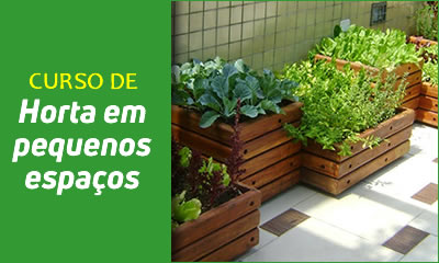 Curso De Horta Em Pequenos Espaços