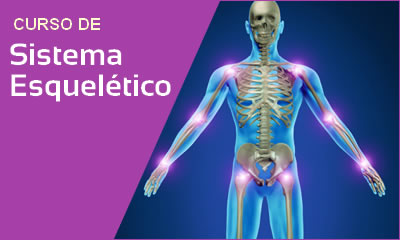 Curso De Sistema Esqueletico Curso De Sistema Esqueletico