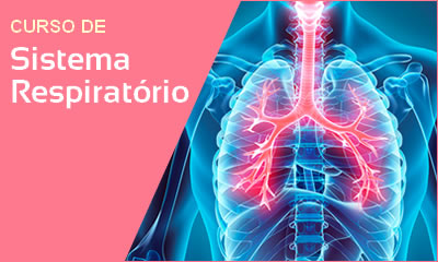 Curso De Sistema Respiratorio