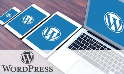 Curso WordPress
